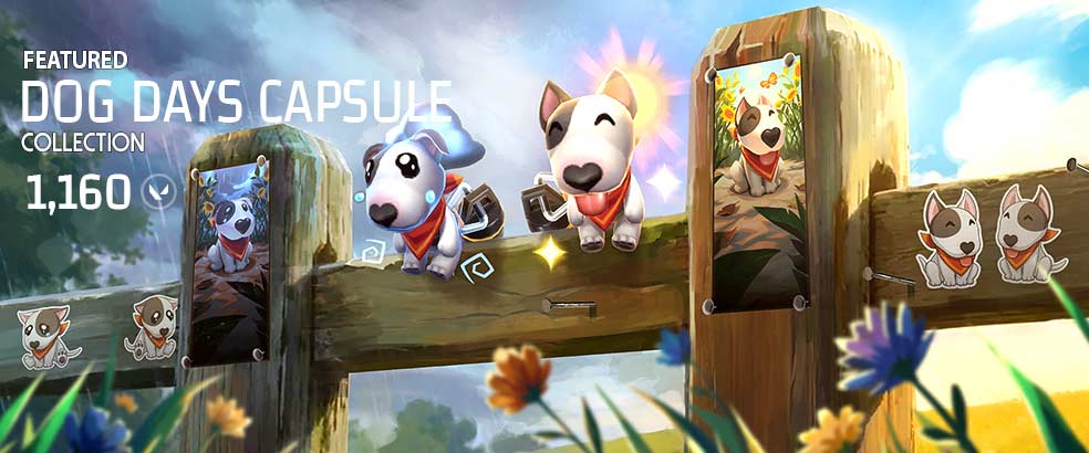 Dog Days Capsule