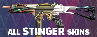 Valorant skins - stinger