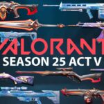 VALORANT SEASON 25 ACT V