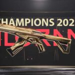VALORANT CHAMPIONS 2025 SKIN