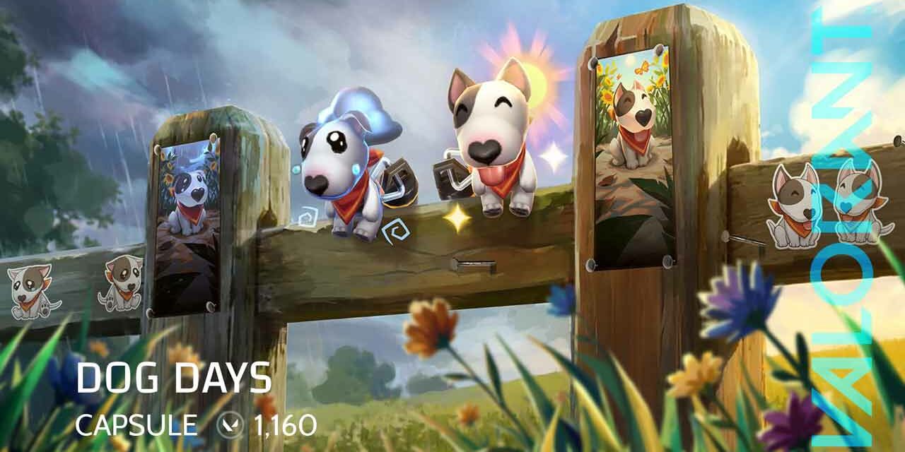 VALORANT DOG DAYS CAPSULE