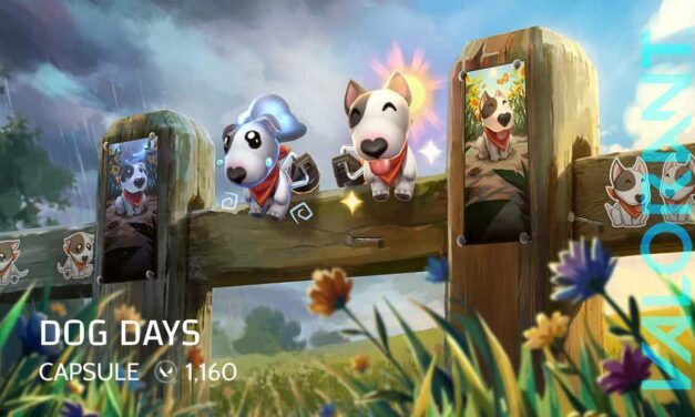 VALORANT DOG DAYS CAPSULE
