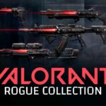 VALORANT ROGUE BUNDLE