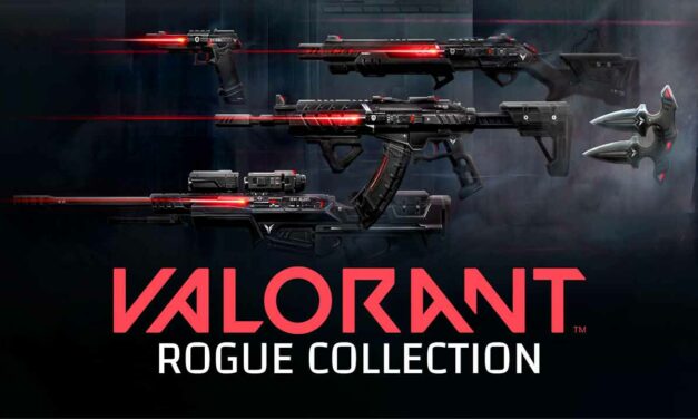 VALORANT ROGUE BUNDLE