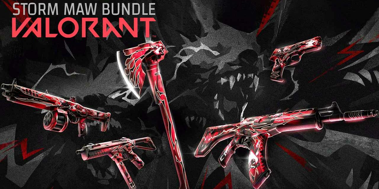 VALORANT STORM MAW BUNDLE