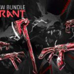 VALORANT STORM MAW BUNDLE